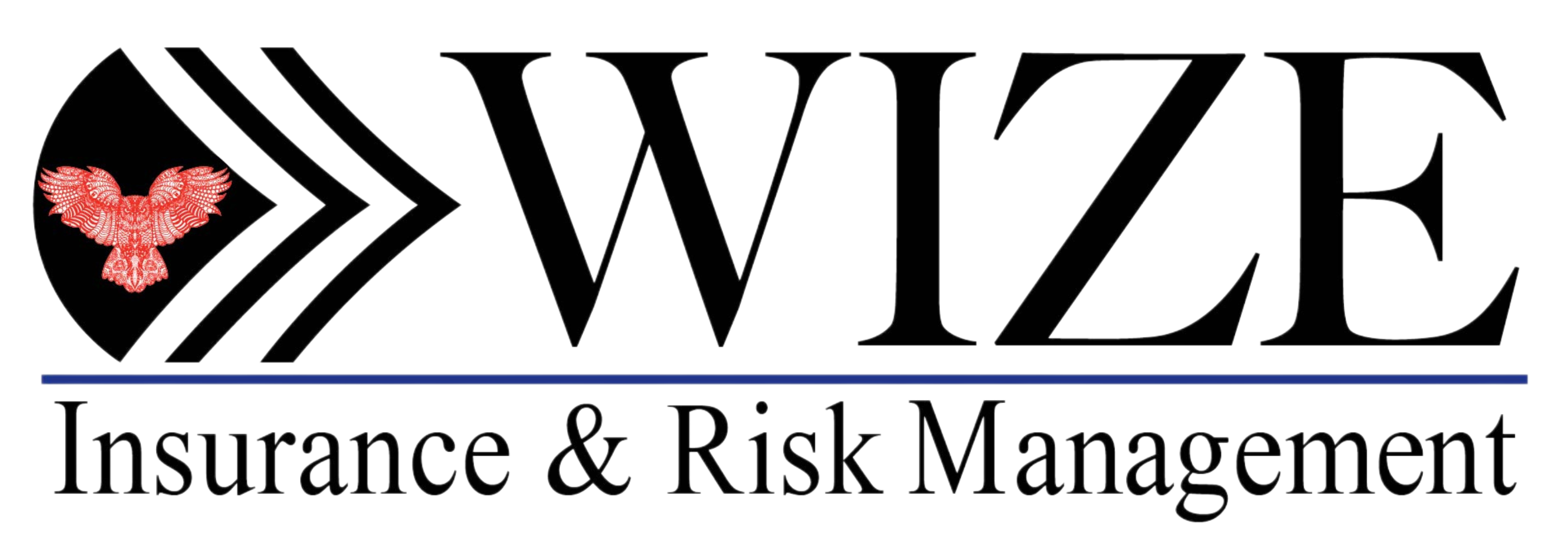 Wize Insurance and Risk Management